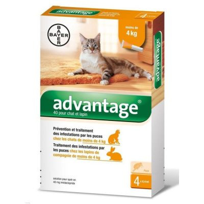 Advantage 40 Spot-on ampulla - macska/nyúl 4kg-ig