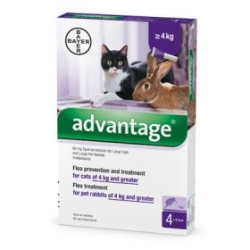    Advantage 80 Spot-on ampulla -  macska/nyúl 4-8kg 4db ampulla